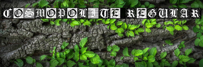 Cosmopolite Regular Example 2