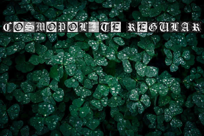 Cosmopolite Regular Example 3