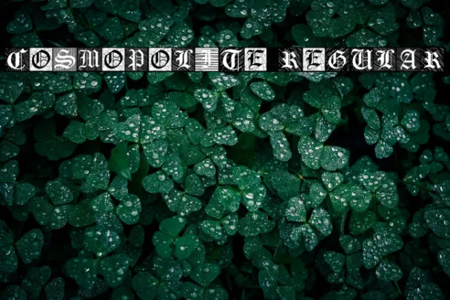 Cosmopolite Regular Example 3