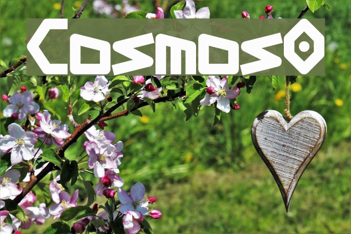 Cosmos0 Font examples