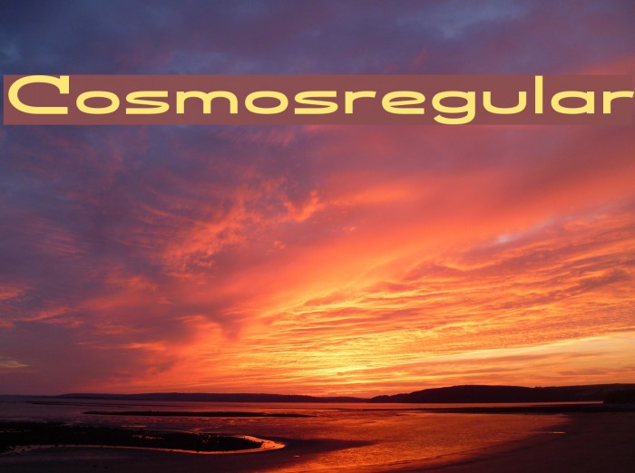 Cosmosregular Polices examples