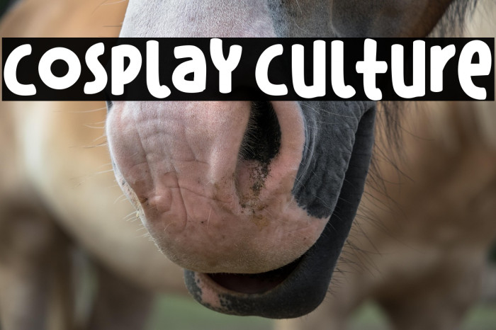 Cosplay Culture Example 1