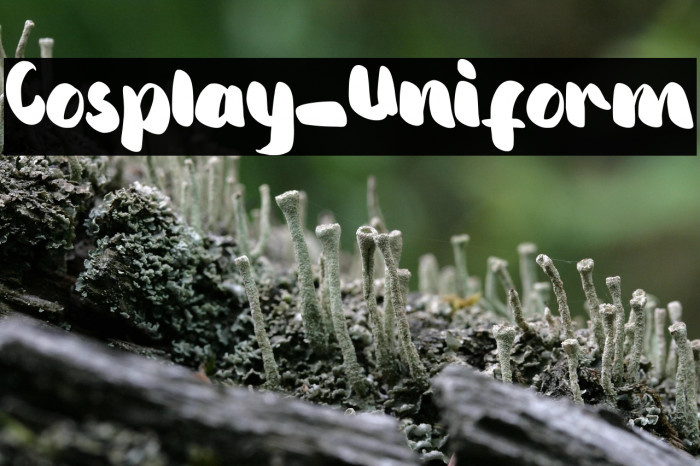 Cosplay_Uniform Example 3