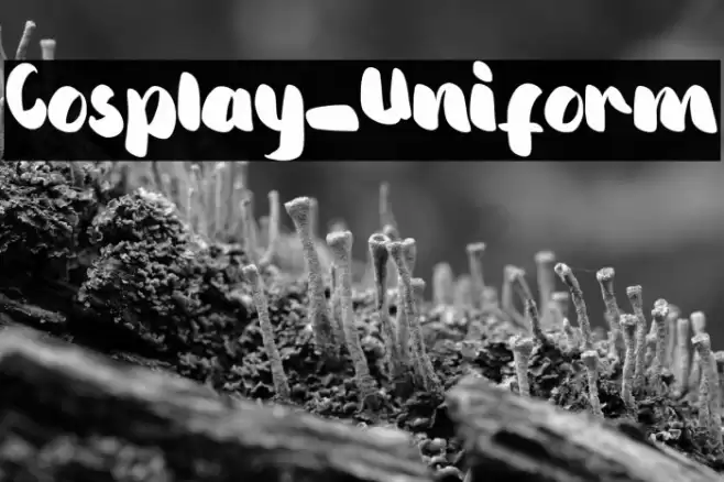 Cosplay_Uniform Font examples