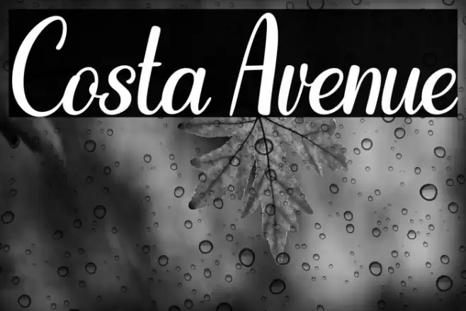 Costa Avenue Font examples