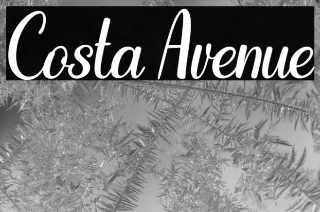 Costa Avenue Font examples