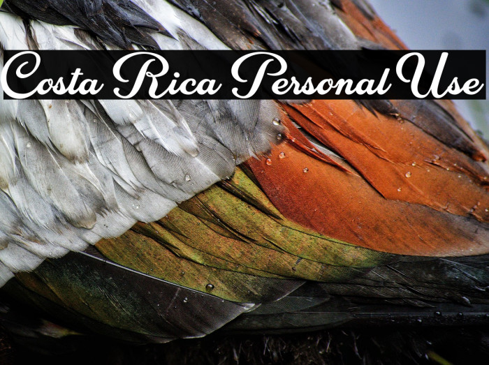 Costa Rica Personal Use Example 2