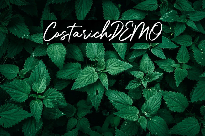 CostarichDEMO Example 2