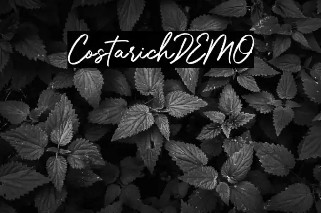 CostarichDEMO Font examples