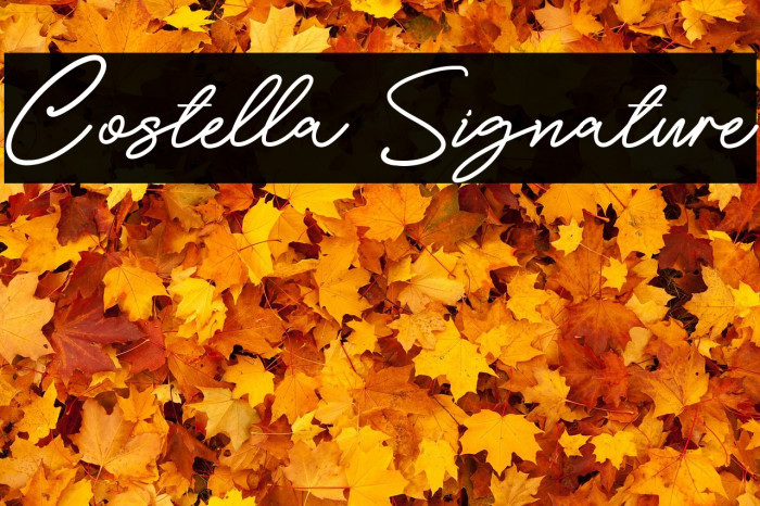 Costella Signature Example 2