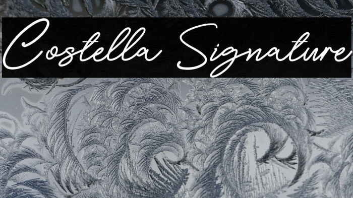 Costella Signature Example 3