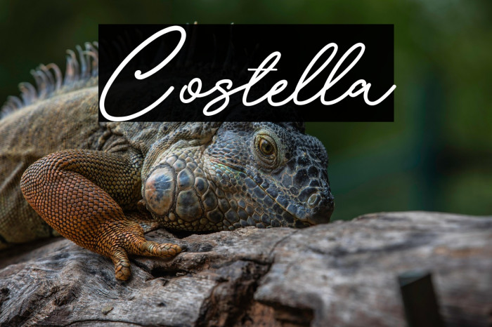 Costella Example 3