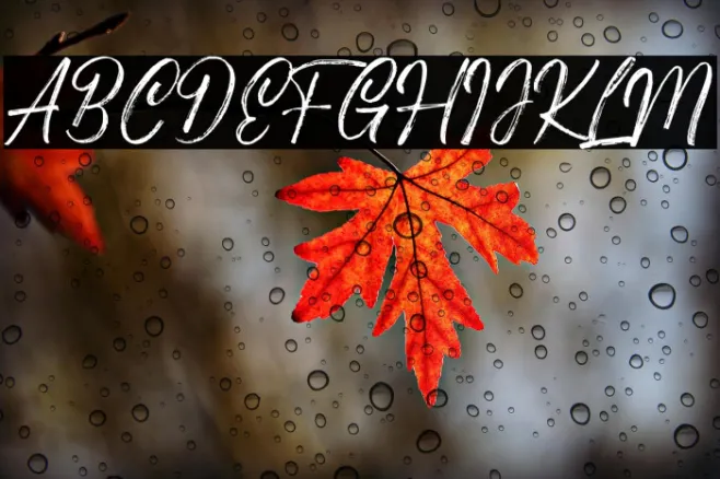 Costiera Example 2