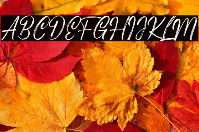 Costiera Example 3