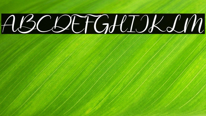 Costly Dishy Example 2