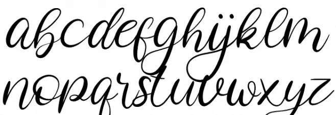 Costly Dishy Polices MINUSCULES