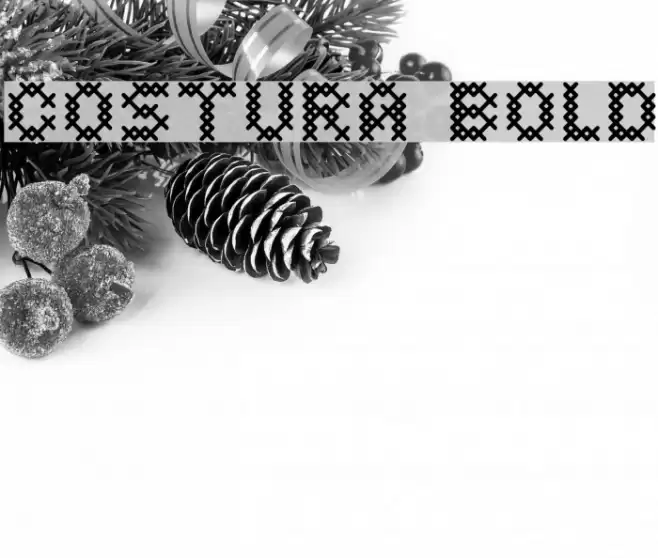 Costura Bold Font examples