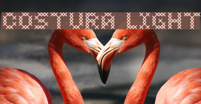 Costura Light Font examples