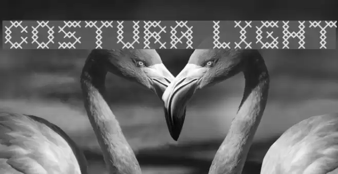 Costura Light Font examples