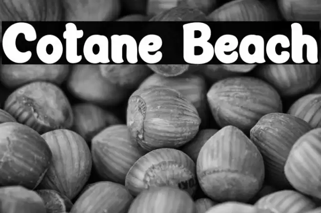 Cotane Beach フォント examples