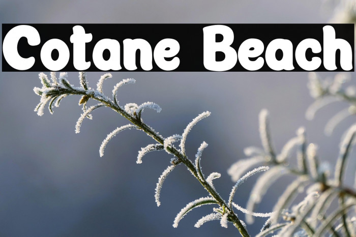 Cotane Beach Example 3