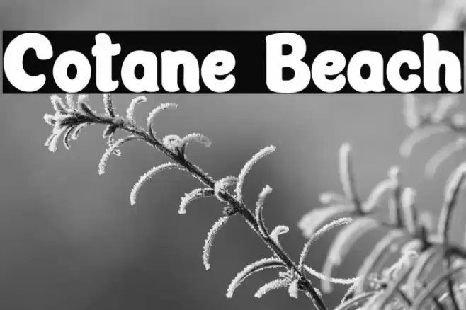 Cotane Beach フォント examples