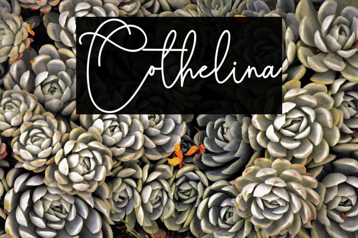 Cothelina Font examples