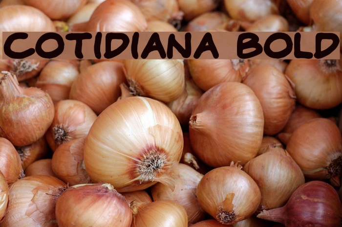Cotidiana Bold Font examples