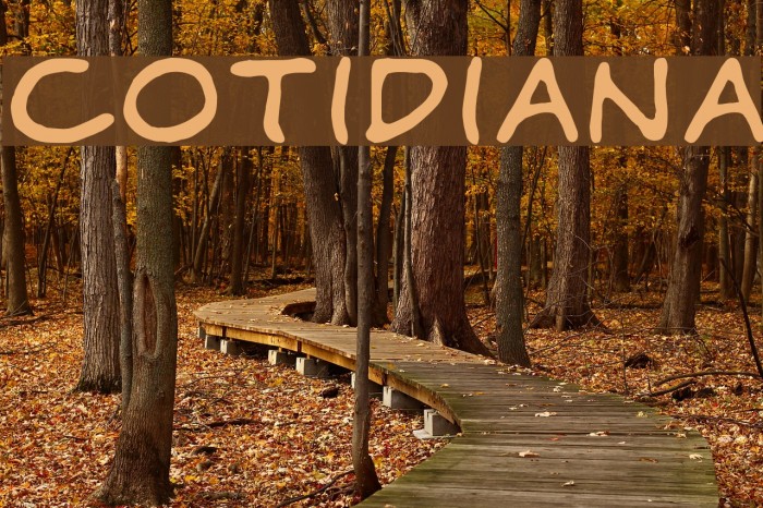 Cotidiana Font examples