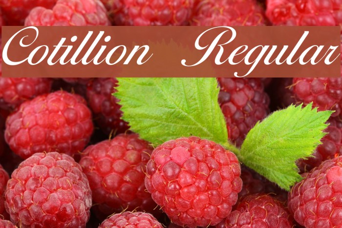 Cotillion Regular Font examples