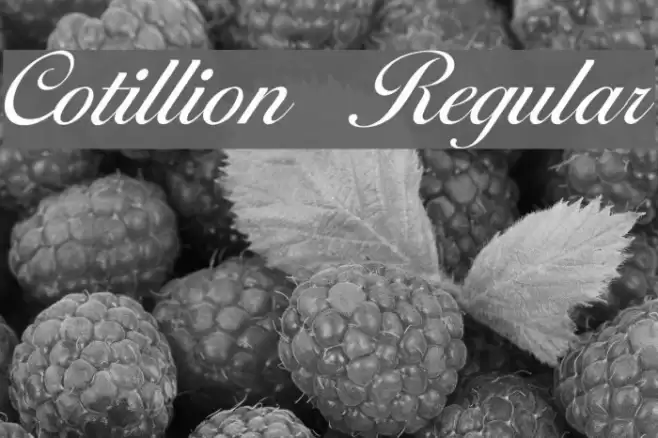 Cotillion Regular Fonte examples
