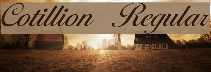 Cotillion Regular Font examples