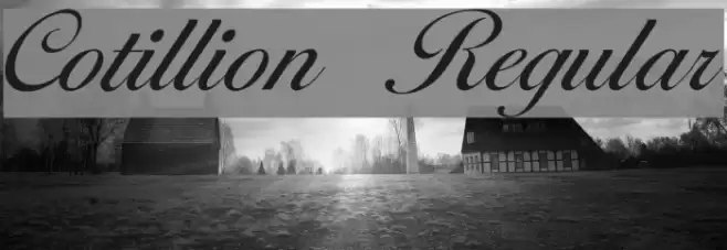 Cotillion Regular Fonte examples