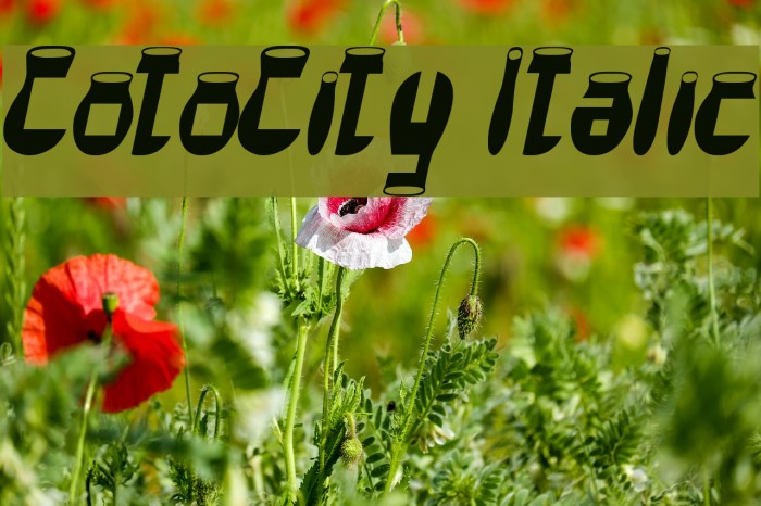CotoCity Italic Schriftart examples