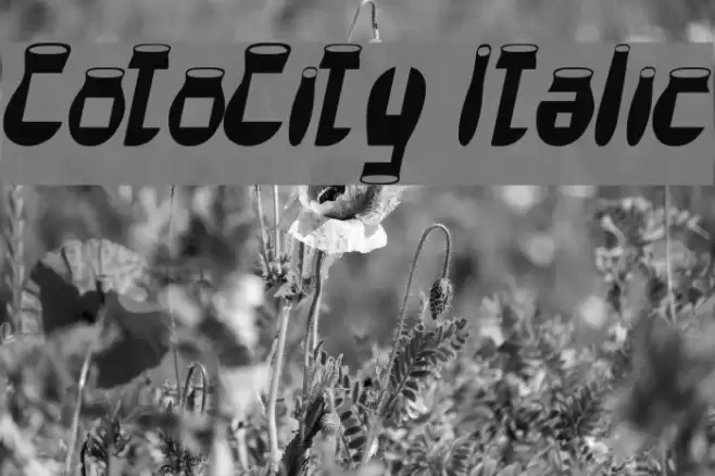 CotoCity Italic Schriftart examples
