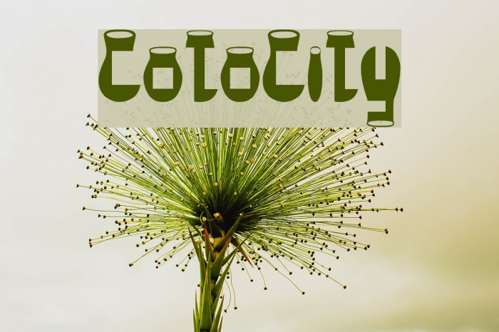 CotoCity Font examples
