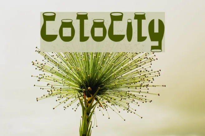 CotoCity Example 1