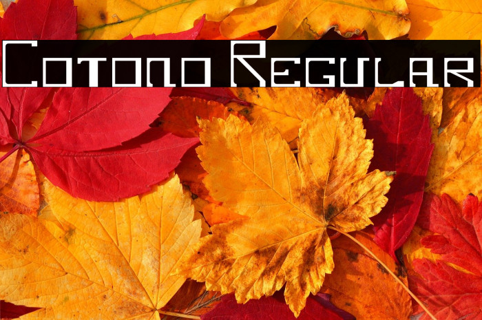 Cotono Regular Example 2