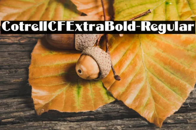 CotrellCFExtraBold-Regular Example 1