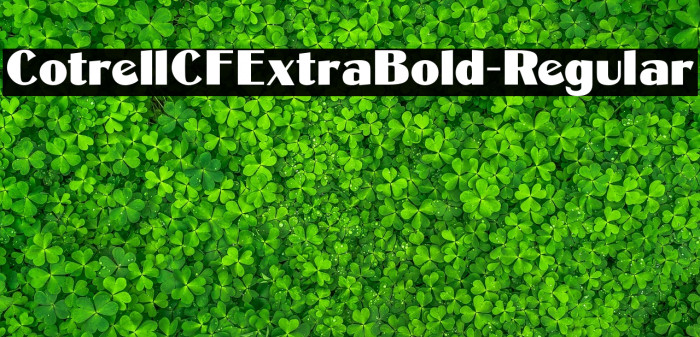 CotrellCFExtraBold-Regular Example 3