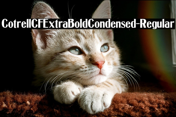 CotrellCFExtraBoldCondensed-Regular Example 3