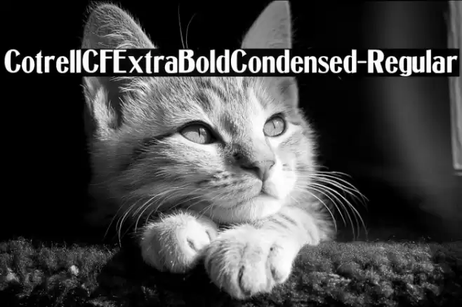 CotrellCFExtraBoldCondensed-Regular Font examples