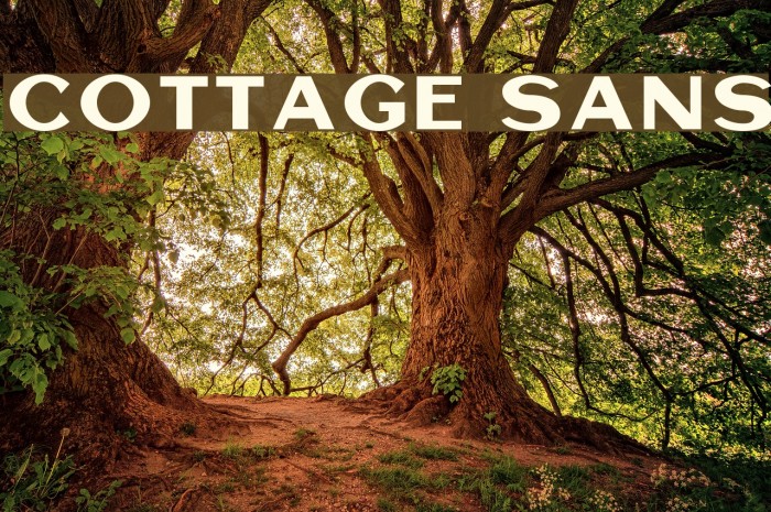 Cottage Sans Font examples
