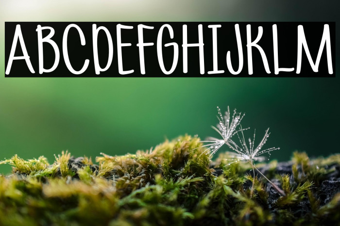 CottageCheese Example 2