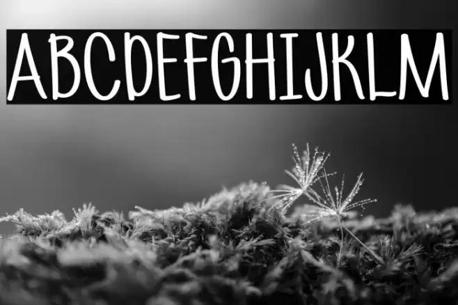 CottageCheese Font examples