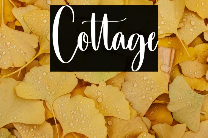 Cottage Example 3