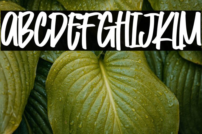 Cotton Hill Example 3