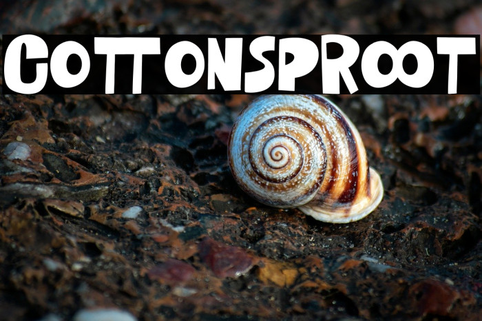 Cotton Sproot Example 1