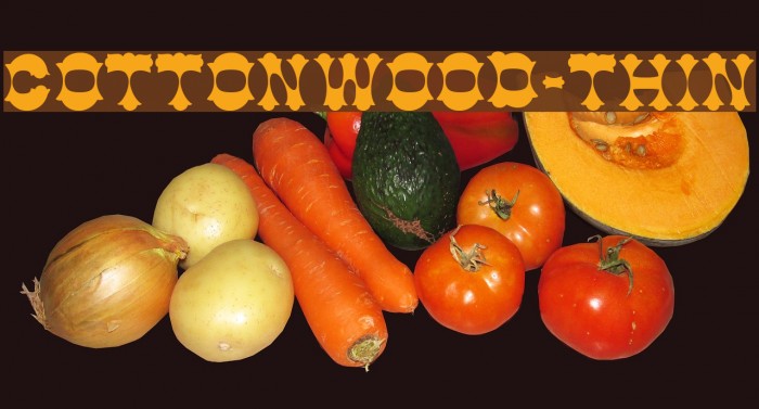 Cottonwood-Thin Font examples