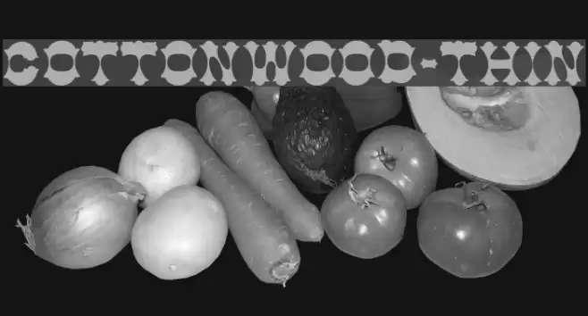 Cottonwood-Thin Font examples